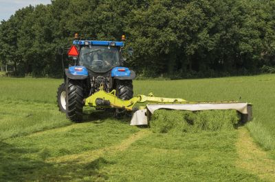 Brush Hogging