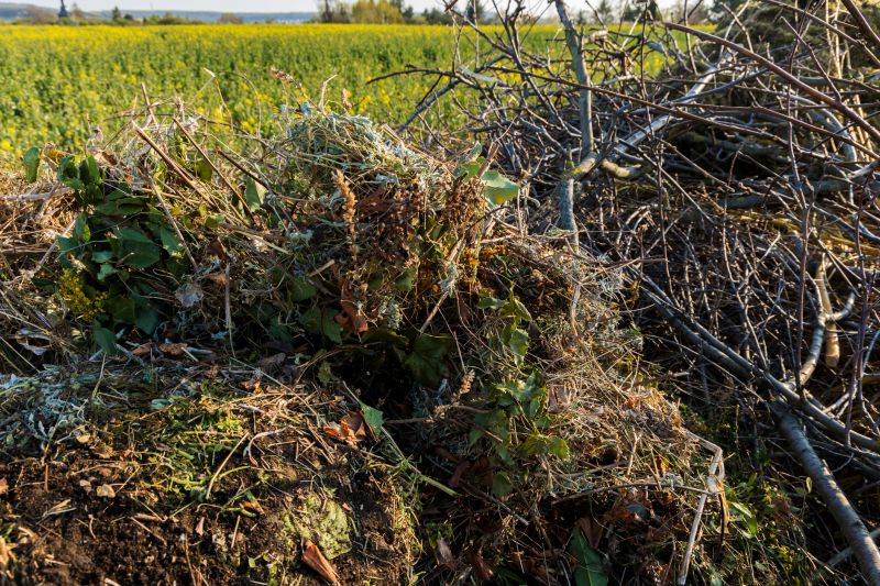 Winter Land Management