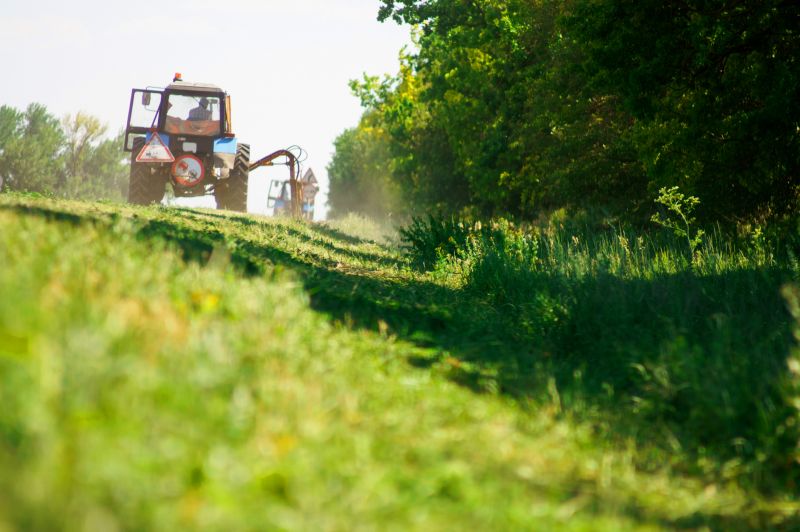 Lot Bush Hogging in Prince Georges County, MD