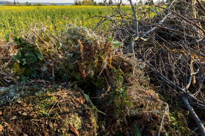 Post-Hogging Cleanup