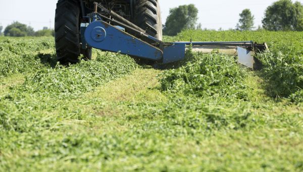 Yard Brush Hogging - Yard Brush Hogging Oakland County, Michigan